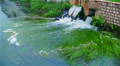 “綠盾”行動查出問題 整改率超70%